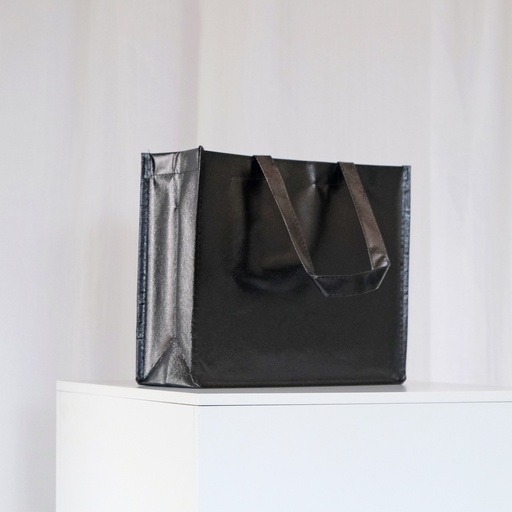 Metallic non-woven bags - 33x12x27Hcm